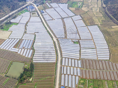 菜地基地航拍乡村农业种植大棚背景