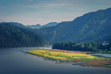 公共水域皖南新安江十里画廊油菜花背景