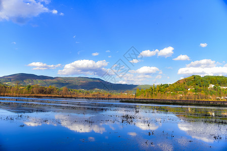 云南曲靖念湖黑颈鹤自然保护区风光背景图片