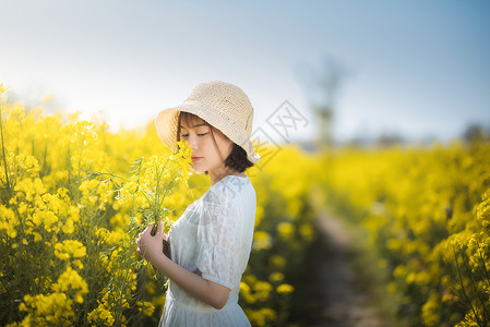 黄日油菜花春景美女背景