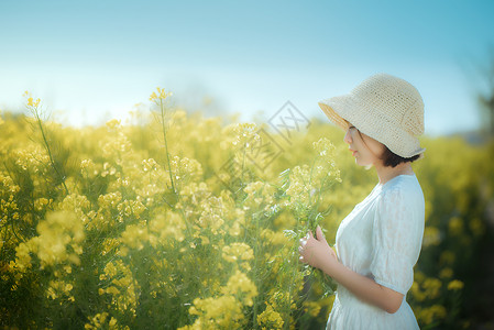 油菜花春景野外郊游美女高清图片