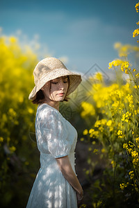 油菜花春游白裙美女背景图片