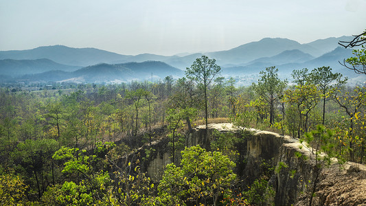 泰国北部拜县山地山村树林芭蕉图片