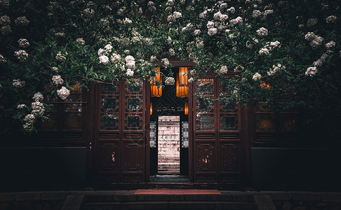 四方院春天南京清凉山崇正书院的植物绣球花与古代建筑背景
