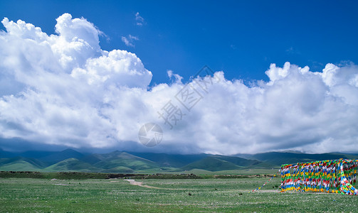 青海湖边自然风光背景图片