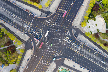 城市交通凤凰花开的路口高清图片