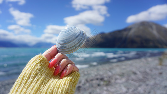 湖边沙滩湖边贝壳静物特写背景