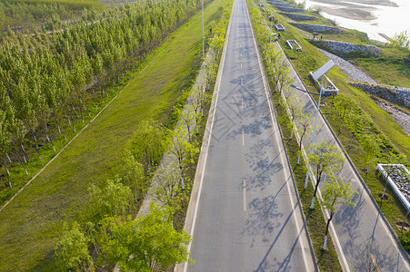 公路绿化带城市绿化道路背景