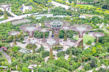 新加坡滨海湾花园双馆新加坡滨海湾公园背景