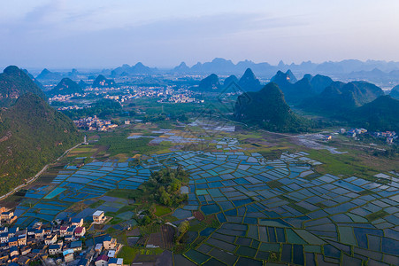 航拍桂林会仙湿地千亩水稻田背景图片