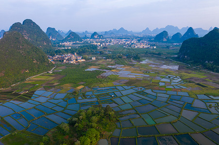 湿地全景航拍桂林千亩水稻田背景