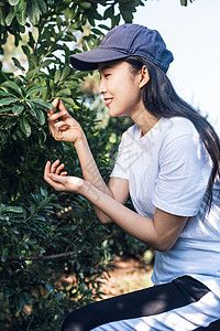 春游踏青美女背景图片