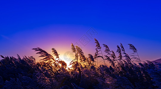 呼和浩特南湖湿地公园背景图片