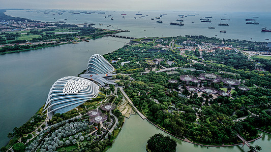 科技之树航拍新加坡空中花园人工树公园背景