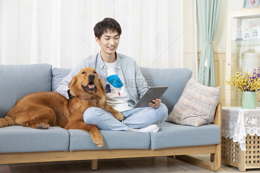 在沙发上抱着宠物拿着平板电脑的男孩图片