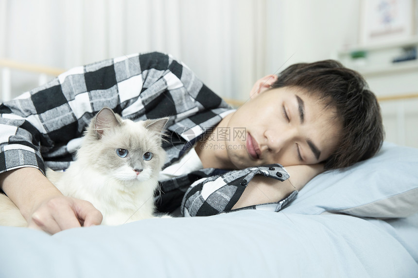 抱着布偶猫睡觉的居家男孩图片