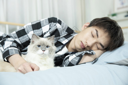 抱着布偶猫睡觉的居家男孩背景图片