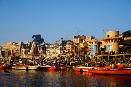 印度恒河节日恒河猴高清图片