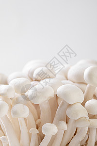 新鲜白玉菇图片