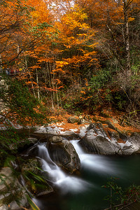 秋季瀑布光雾山网红景区红叶节流水背景