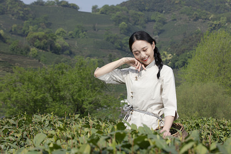 茶园里的采茶美女擦汗图片