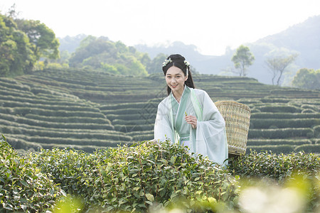 人背背篓汉服古装美女背茶篓采茶背景