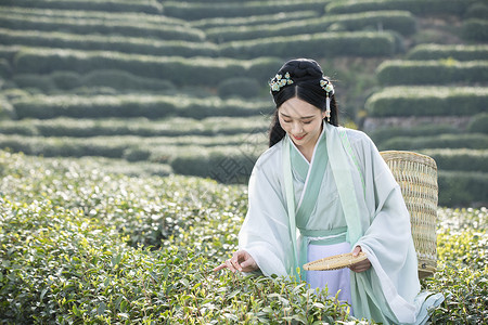 中国复古背汉服古装美女背茶篓采茶背景