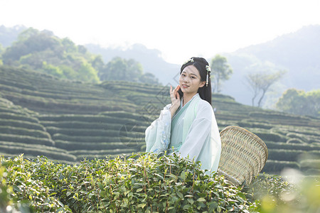 汉服古装美女背茶篓采茶背景图片