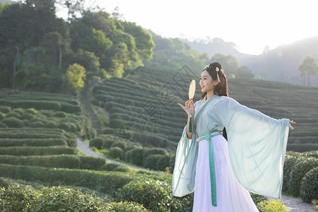 汉服古装美女茶园里跳舞背景图片