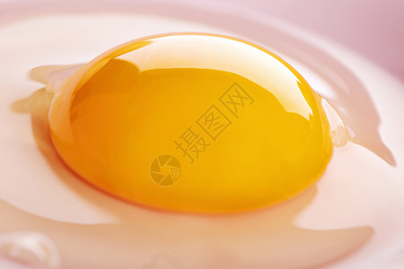 鸡蛋黄鸡蛋磕开盛放在盘子里蛋黄和蛋清背景