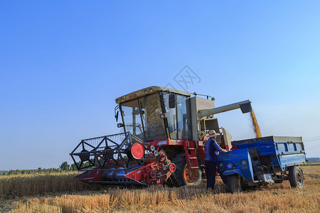 现代化农村联合收割机收割麦子丰收背景