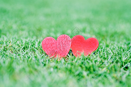 红色爱心盒草地上的红色爱心背景
