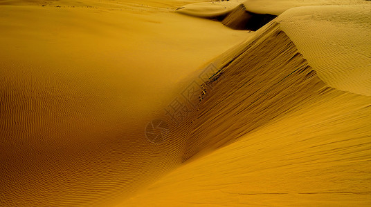防治荒漠海报内蒙古库布其沙漠背景