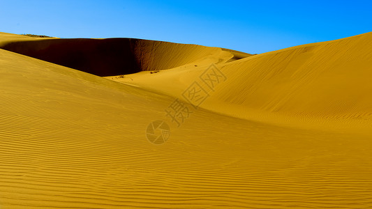防治荒漠内蒙古库布其沙漠风光背景