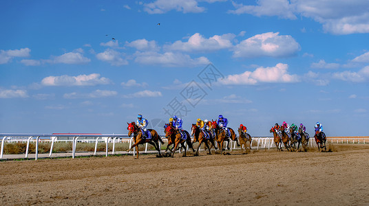 内蒙古国际速度赛马高清图片