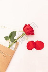 花瓣信件信件与玫瑰花背景