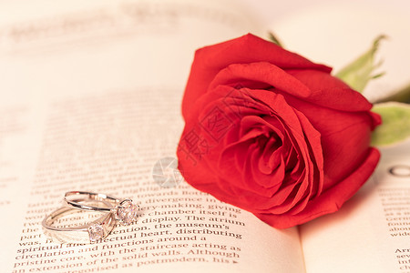 玫瑰花与书本背景图片