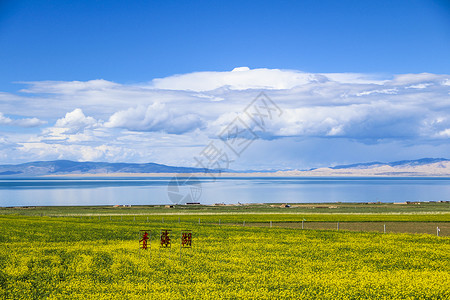 青海湖背景图片