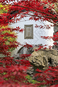 南京总统府红色枫叶背景图片