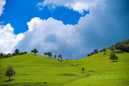 云南昆明寻甸高山草甸牧场自然风光图片