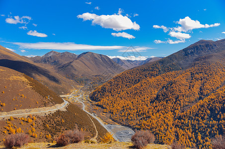 川西秋景背景图片