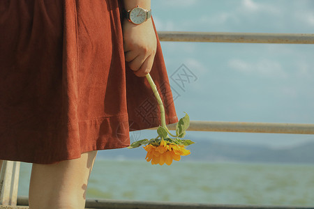 小清新海边手拿向日葵的女生背景图片