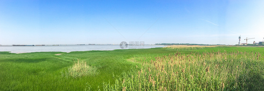 上海炮台湾湿地全景图片