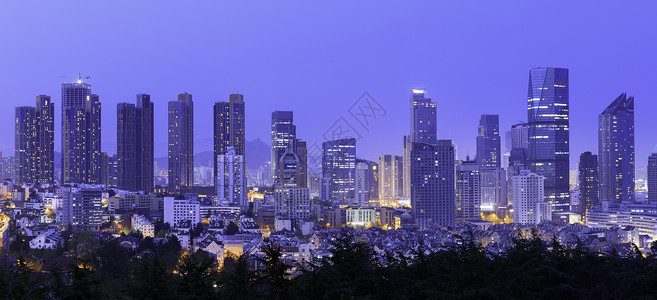 山东省青岛植物园俯瞰城市夜景背景