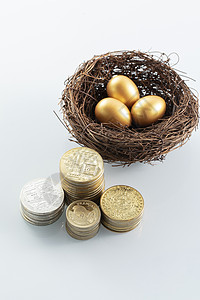 金币金蛋财富概念图片