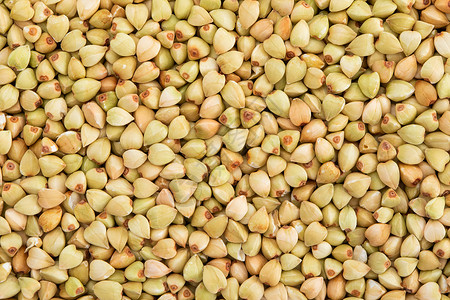 五谷杂粮荞麦背景图片
