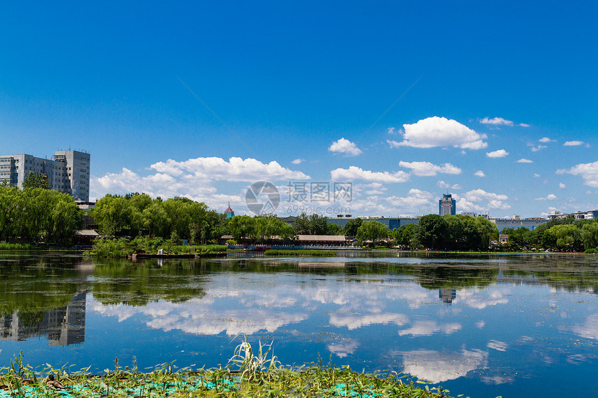 北京后海夏日图片