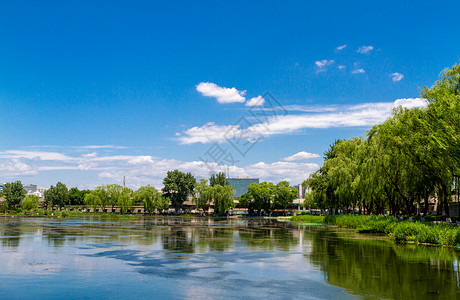 北京后海夏日背景图片