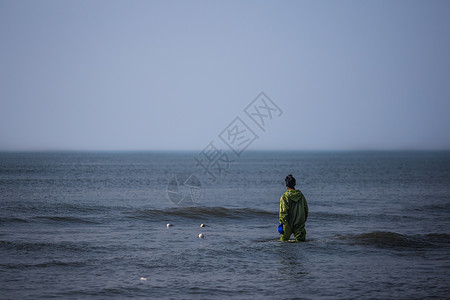 渔人赶海背景