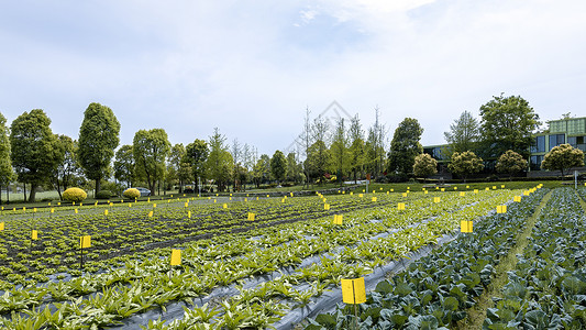 农业科技素材科技农业培育背景